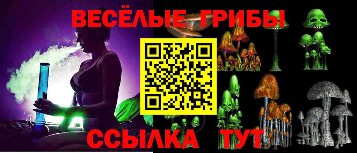 Галлюциногенные грибы мицелий Гусев